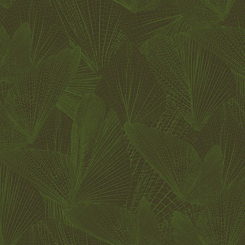 Amazonia Ins6 005/1