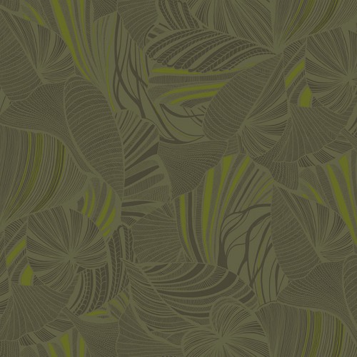 Amazonia Ins5 005/1