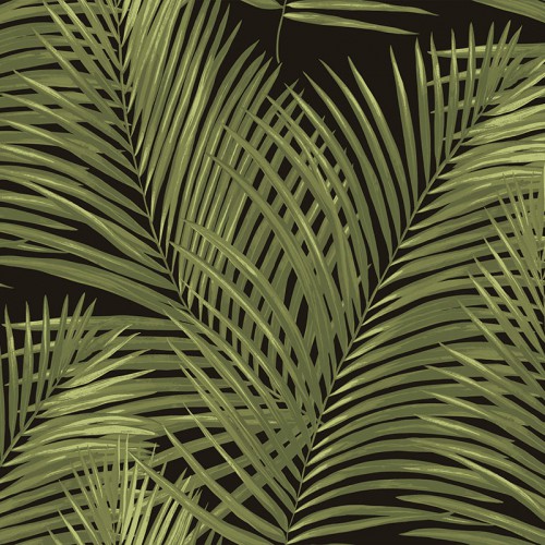 Amazonia Ins3 005/3