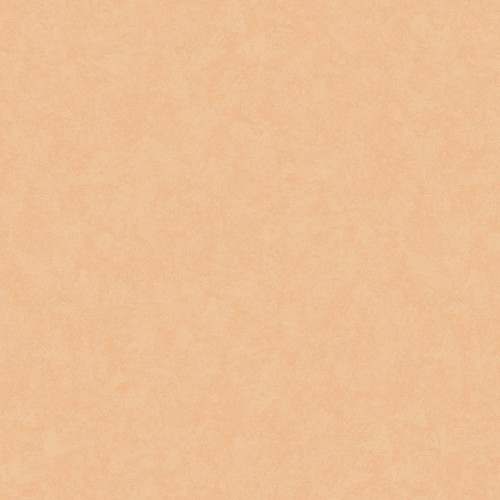 Shade SD3 003